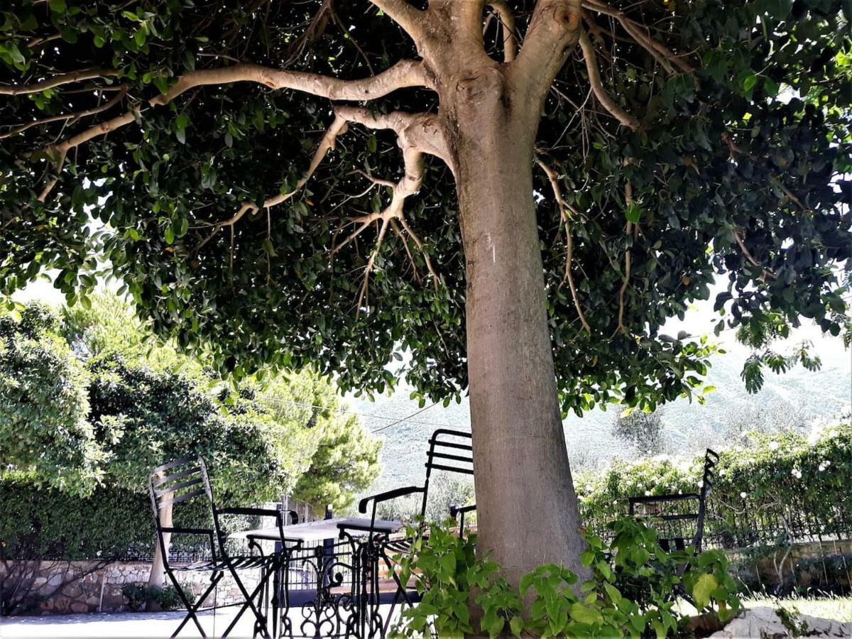 Luxury Country House In Kalamata / Sp エクステリア 写真