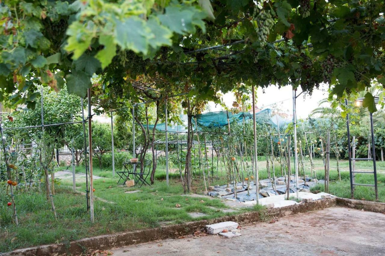 Luxury Country House In Kalamata / Sp エクステリア 写真