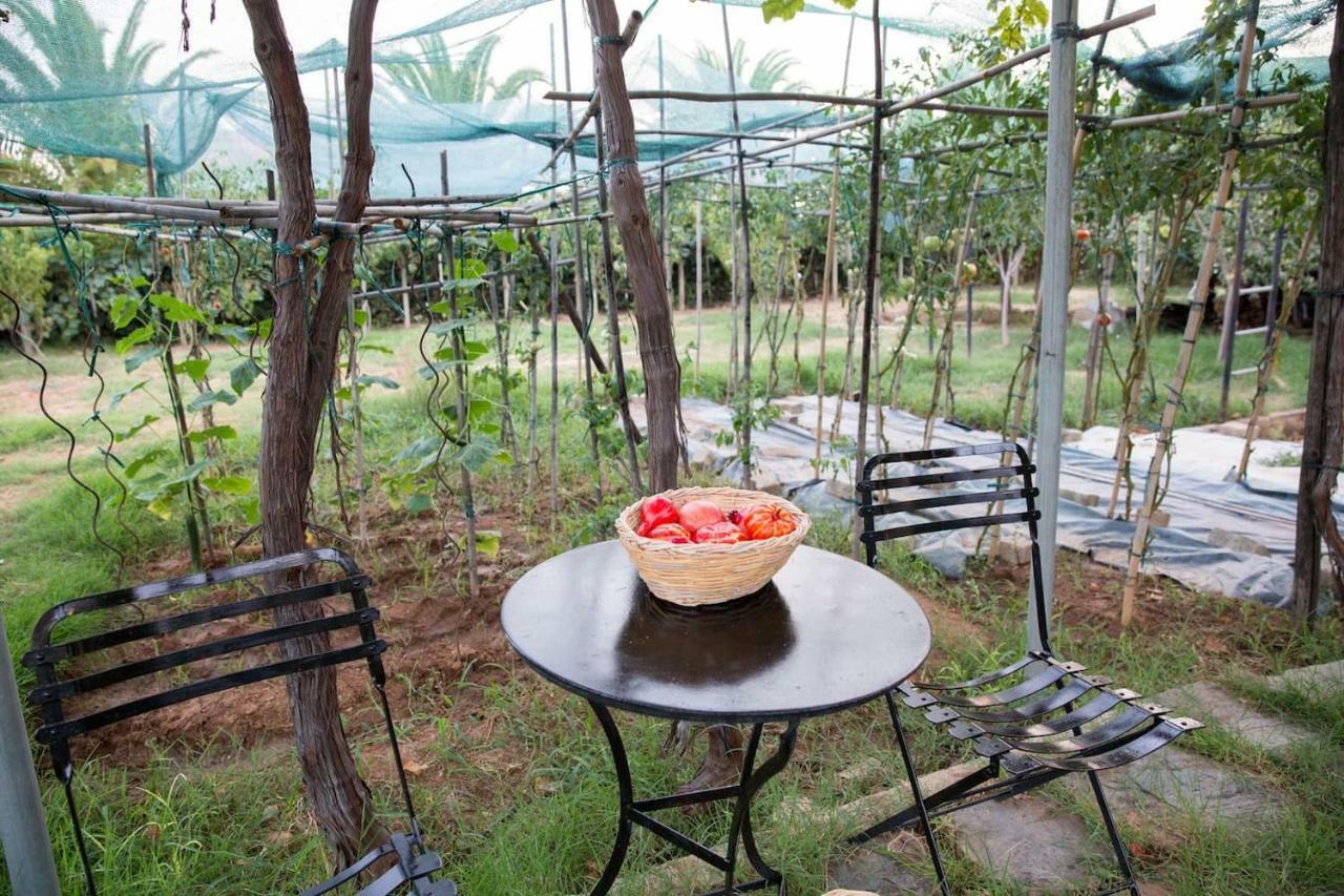 Luxury Country House In Kalamata / Sp エクステリア 写真